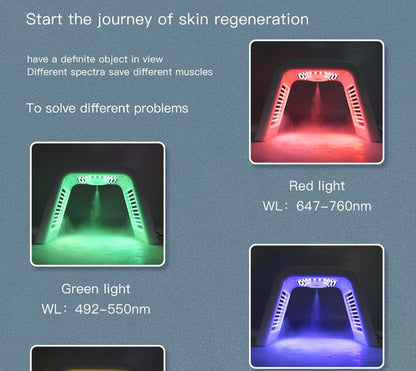 LED Facial Therapy Mask